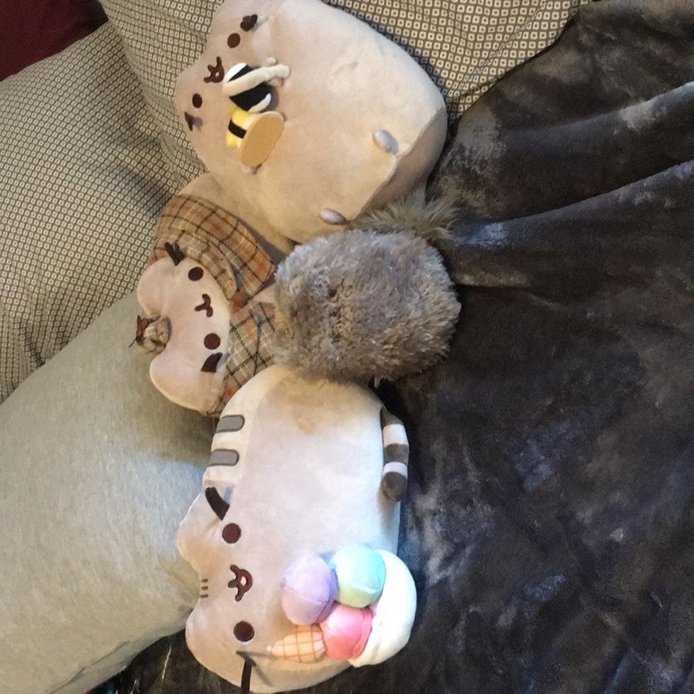 Pusheen stuffie bundle